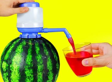 17 simple life hack with watermelon