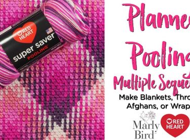Planned Pooling Multiple Color Sequence for a Blanket Throw Afghan or Wrap