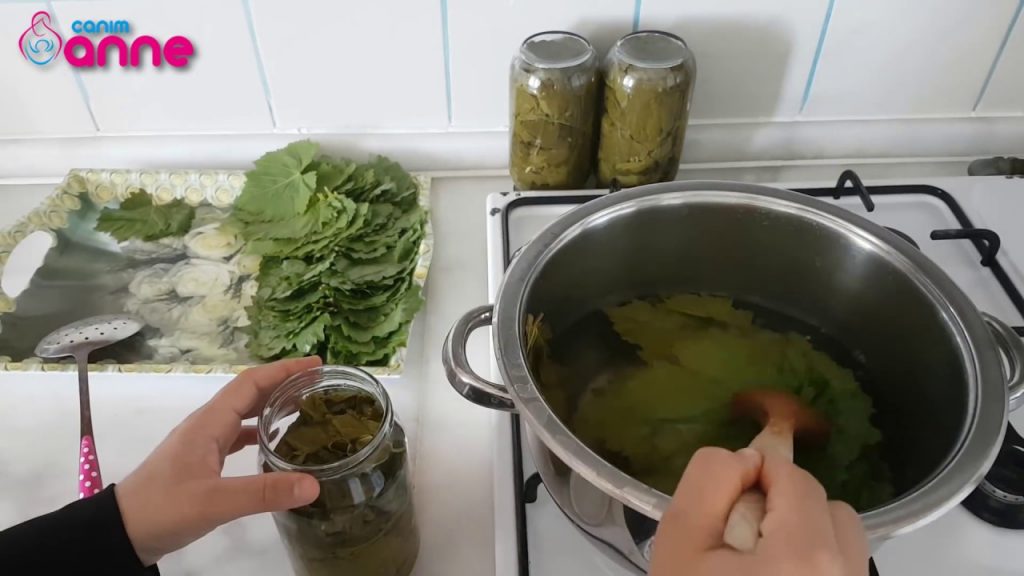 Practical Grapefruit Storage Method (Easy Leaf Storage)