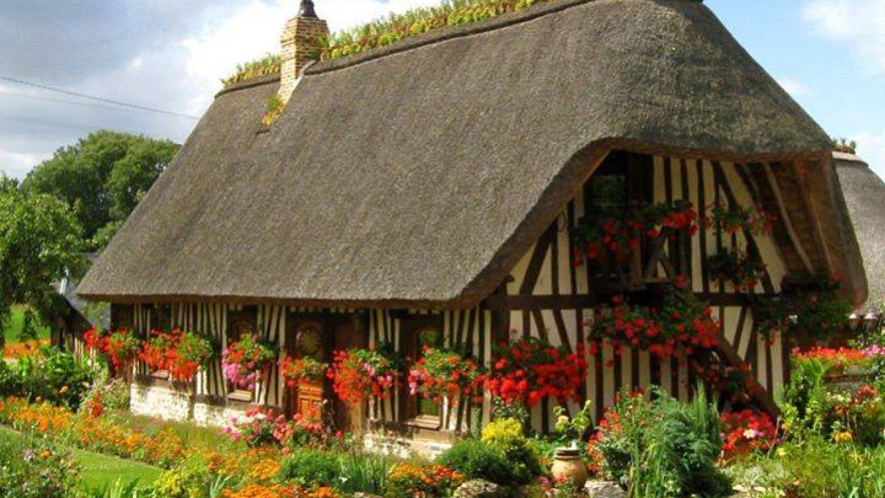 The most interesting, beautiful, natural houses