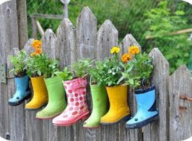 Wonderful garden ideas